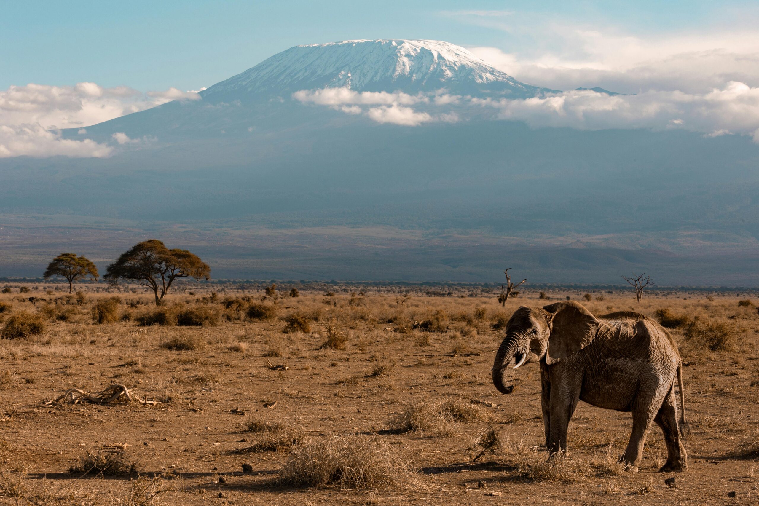 mt-kilimanjaro