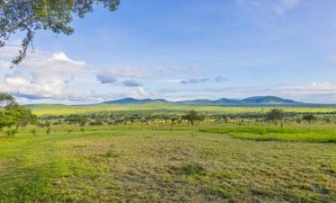 2-Day The Emakoko Wildlife Experience
