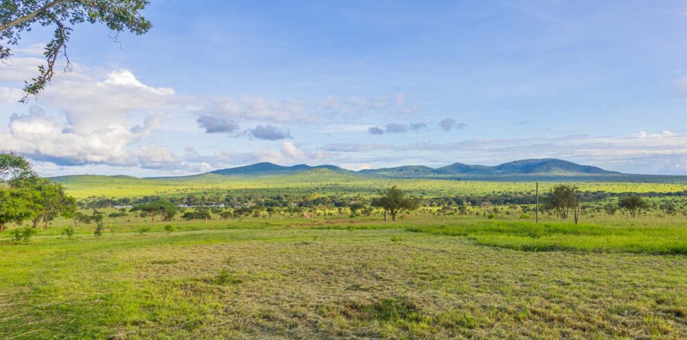 Baraza Outdoor 4 990x490