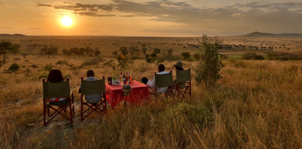 Bush Meals And Sundowner 990x490