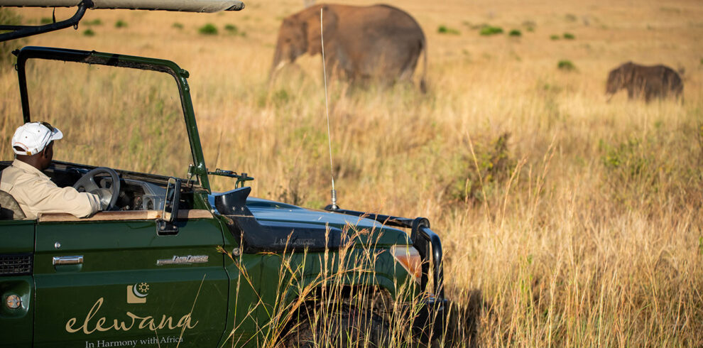 Elewana Sand River Game Drive 990x490
