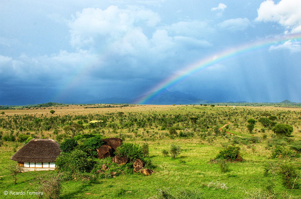 Ricardo Ferreira Landscape Kidepo Valley NP Uganda