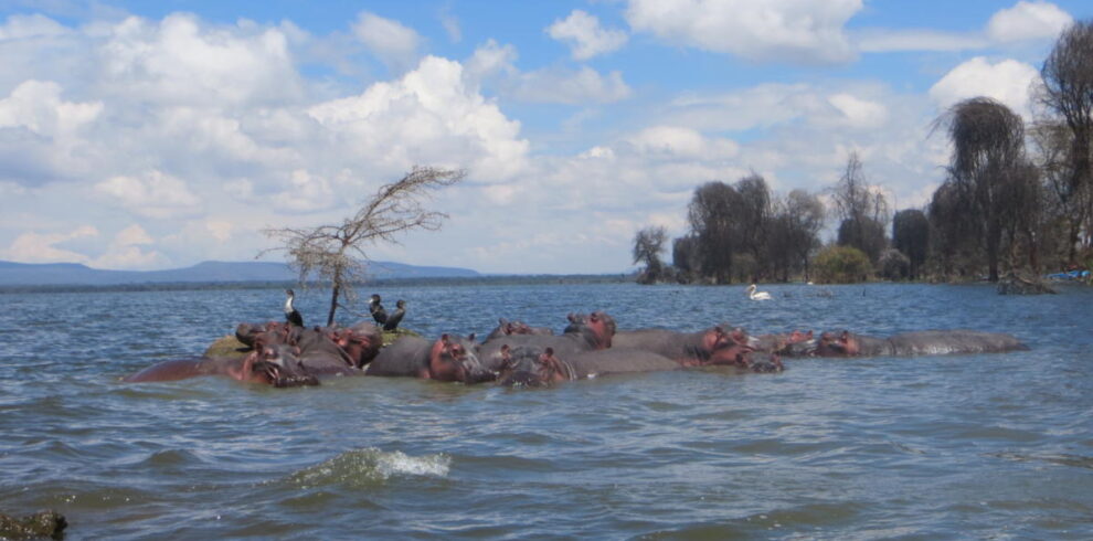 hipot-järvella
