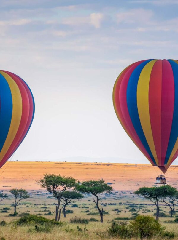 hot-air-balloon-rising-above-the-savannah-serengeti-national-park-AdobeStock_377726378-1536×1024
