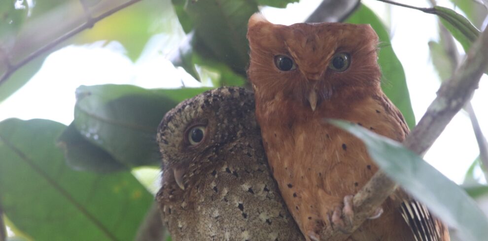 whatsapp image 2025 03 20 at 18.44.42 415205c7 1030x686